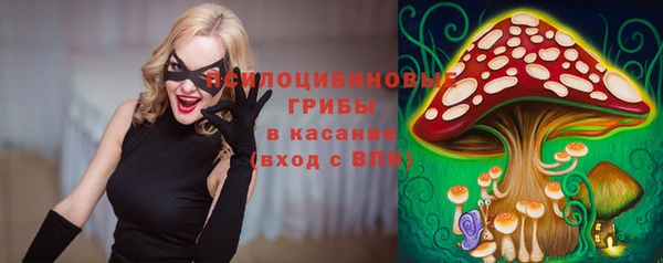 стаф Баксан