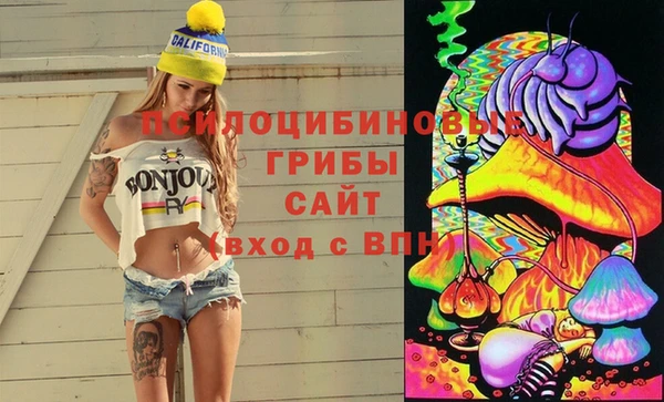 стаф Баксан