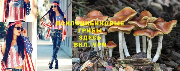дживик Беломорск
