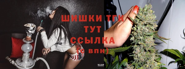 гидра Киселёвск