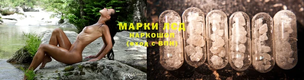 эйфоретик Пересвет