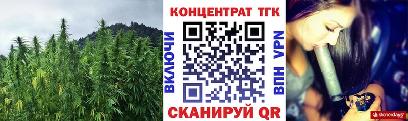 ТГК концентрат  сколько стоит  Междуреченск 