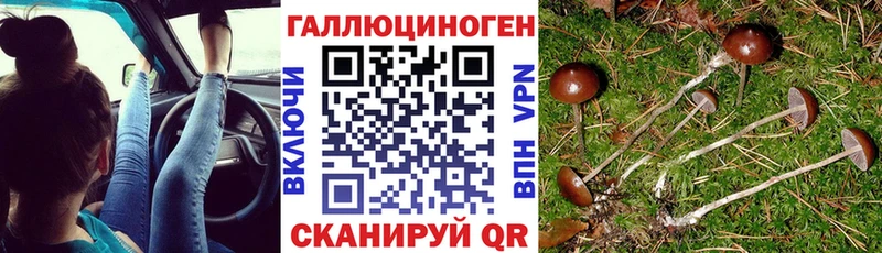 Псилоцибиновые грибы мухоморы сколько стоит mega онион Междуреченск